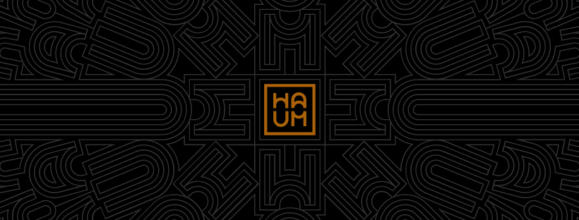  HAUM Studios - Mission