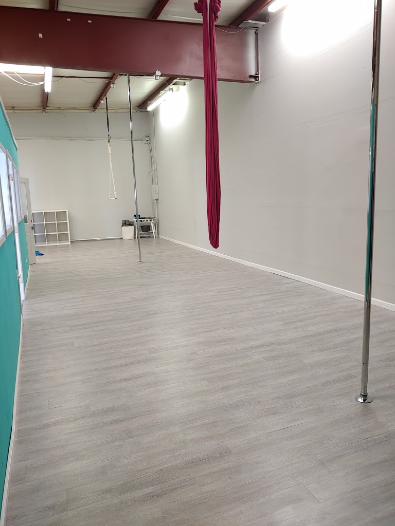  Vibe Aerial Arts & Dance