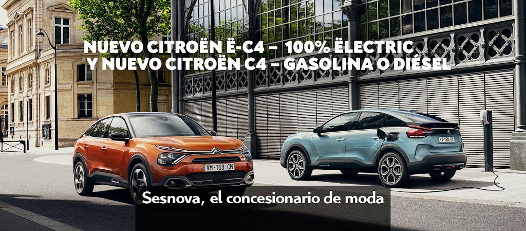 Citroen Sesnova — Del propietario