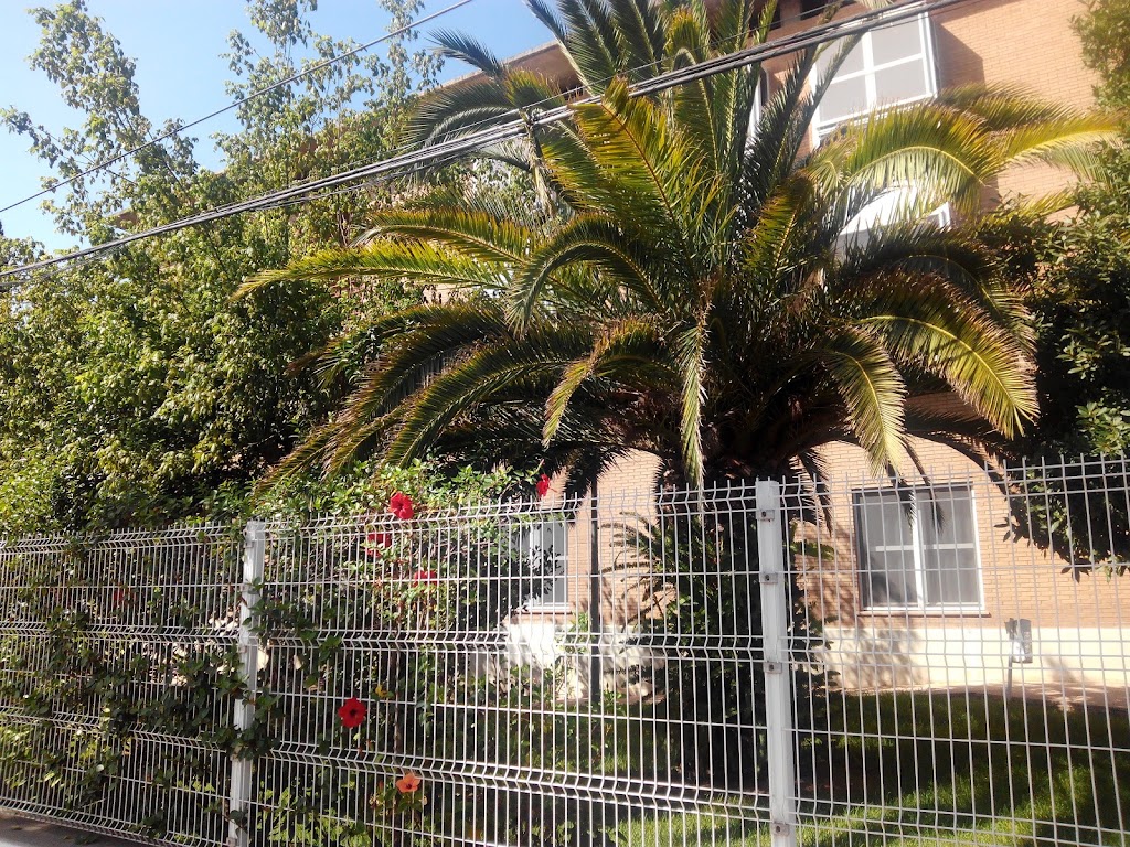 Residencia De La Tercera Edad Virgen De Gracia De Vila Real — Exterior