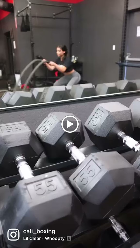  San Jose Boxing & Fitness