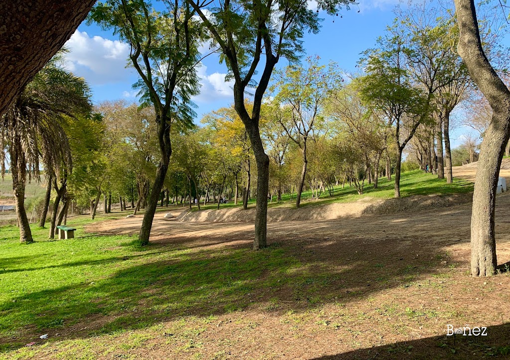 Parque de San Benito