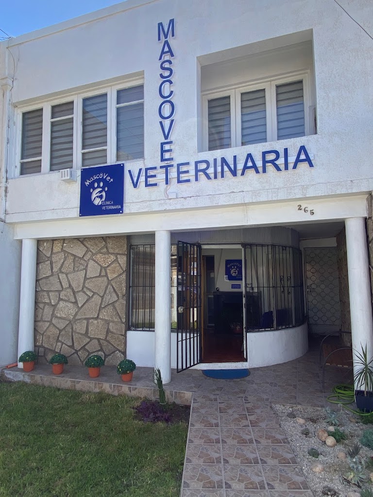 Mascovet Veterinaria en Ovalle