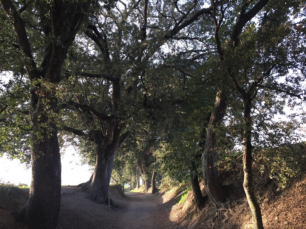 Camino Real de San Antonio — Todas