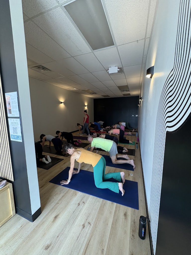  Yoga From Our Heart to Yours