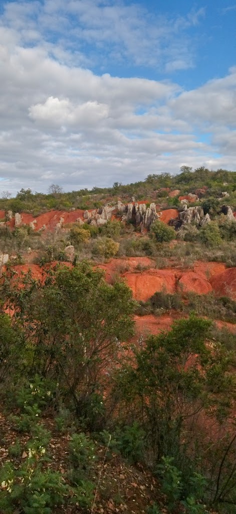 Sendero El Rebollar
