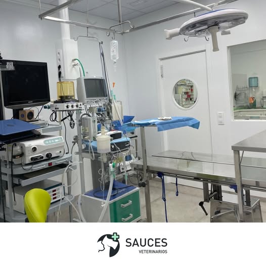 Clinica Veterinaria Sauces — Del propietario