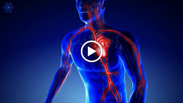  Adventure Fitness Athletic Club