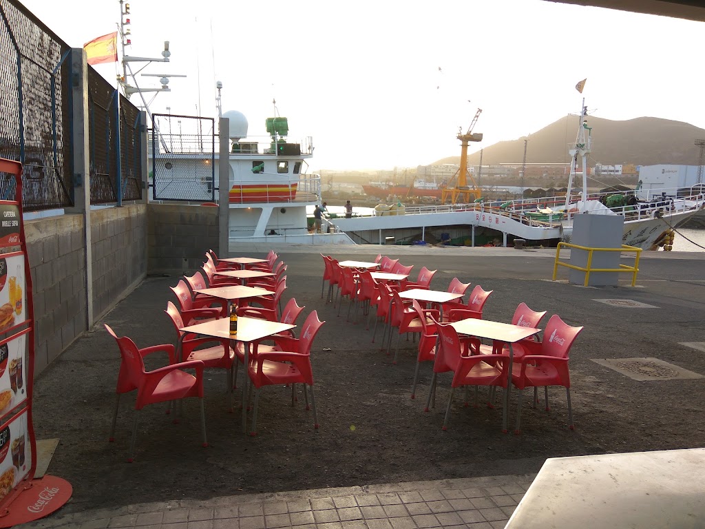 Cafeteria Muelle Sofia — Ambiente