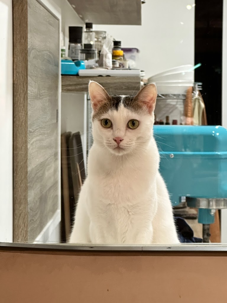 三萩茶會｜宜蘭渡假人文會所、主理人喫茶服務、在地特色伴手禮、日本式經營風格 的照片