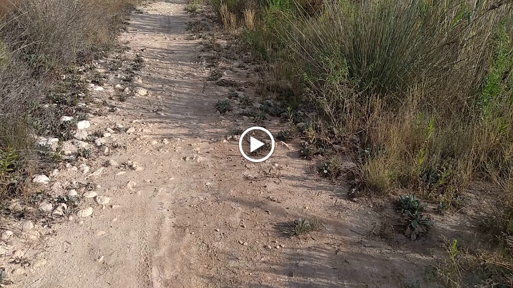 Restaurante La Herradura — Videos