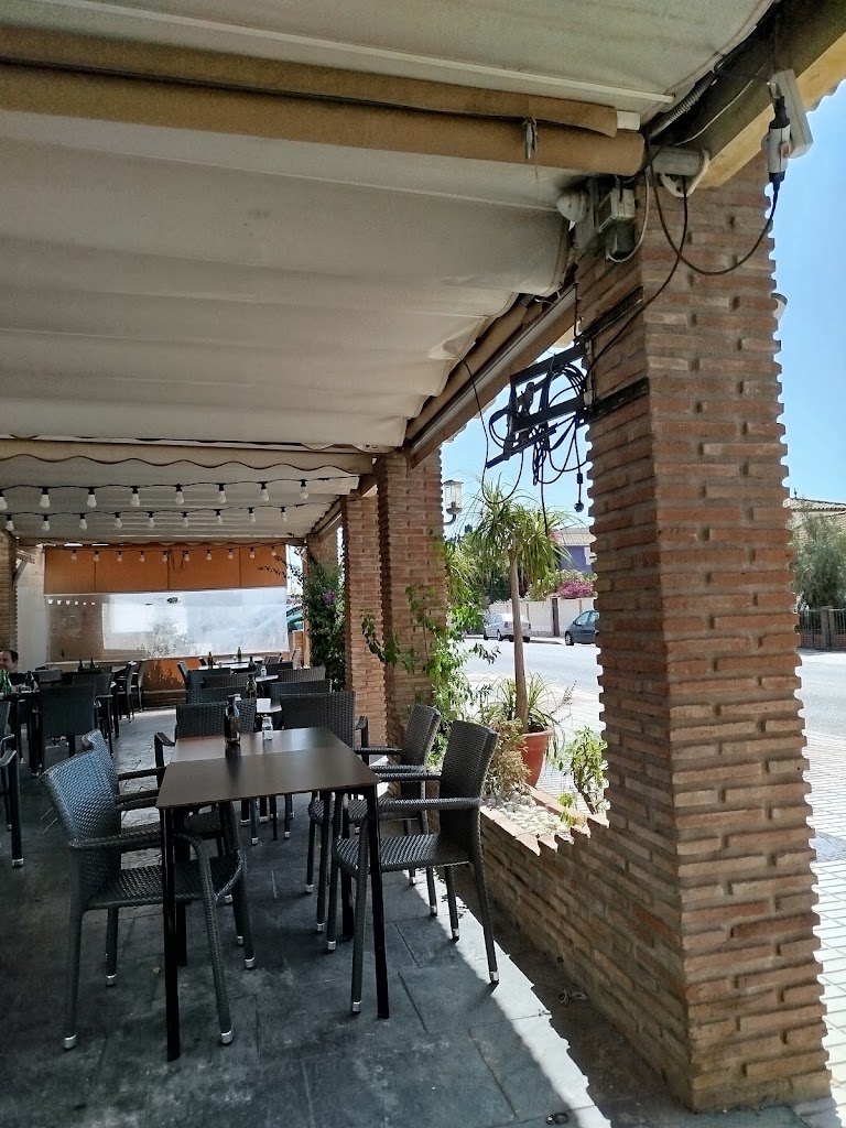 Cafe Terranova — Ambiente