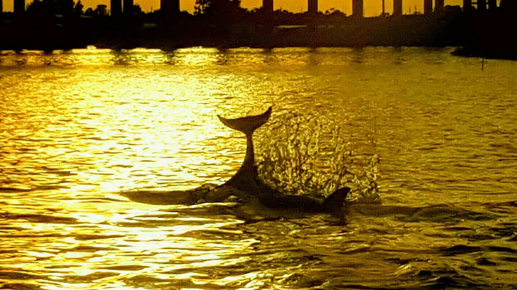 Treasure Coast Cruises