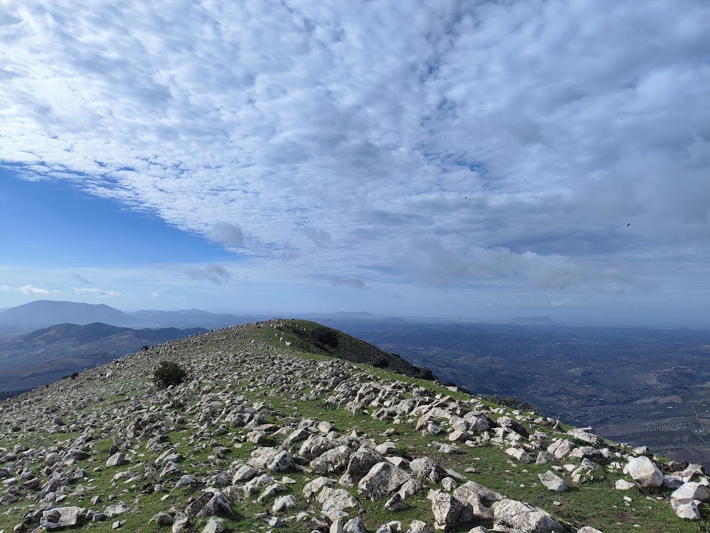 Pico Terril