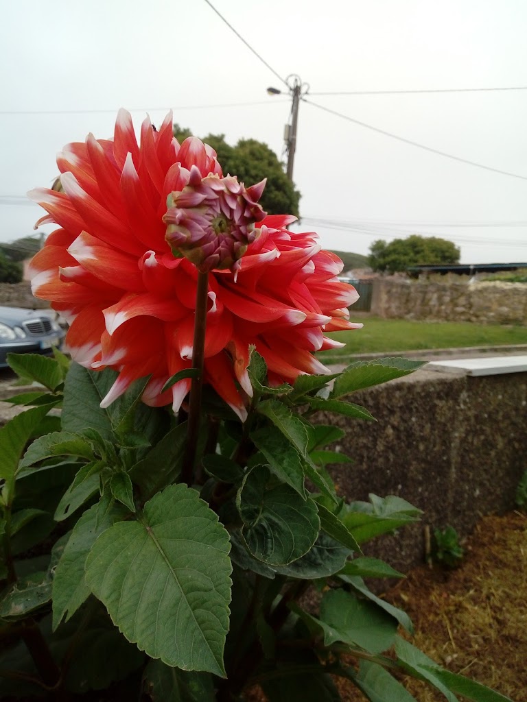 Foto da avaliação