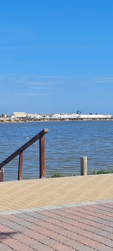 Banos de lodo — Mas recientes