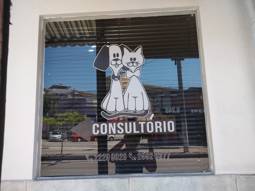 Veterinário em Rio-De-Janeiro