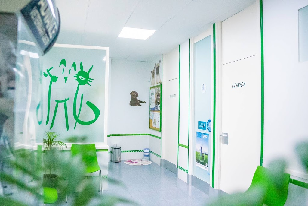 Clinica Veterinaria Sant Antoni en Benicarlo — Del propietario