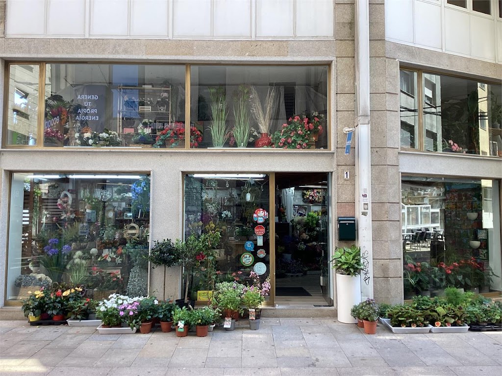 Floristeria Mandragora