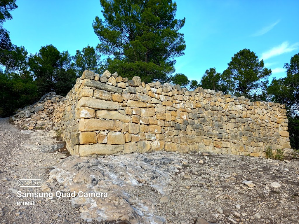 Poblat Iber del Puig