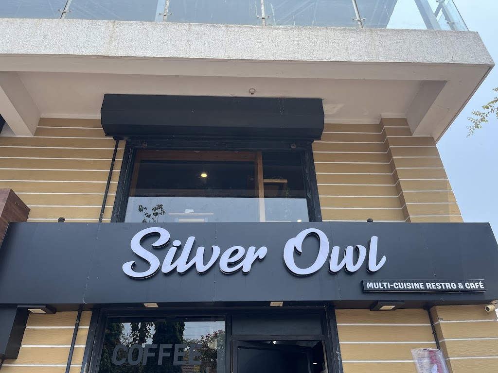 The Silver Owl