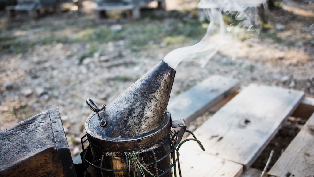 Europea de Apicultura