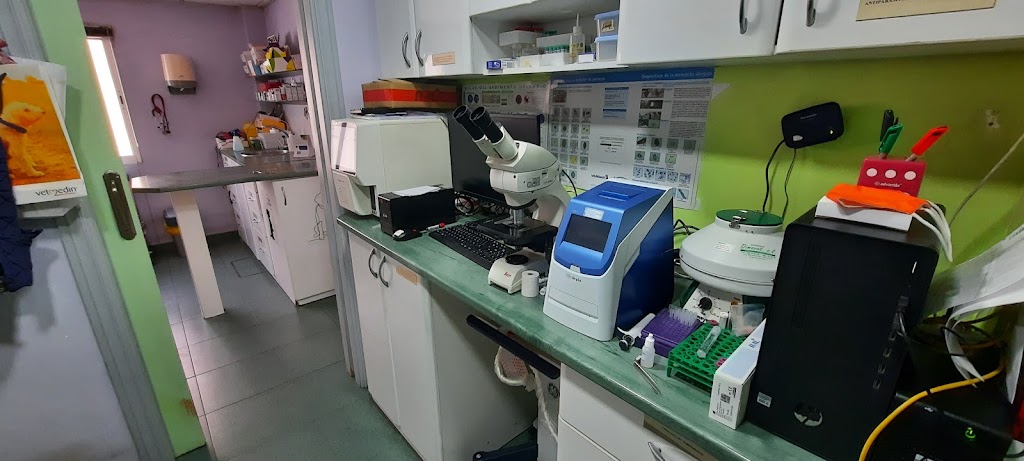 Juan Jesus Dominguez | Veterinario