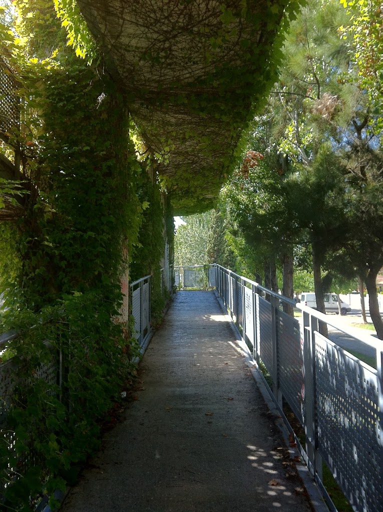 Bridge Avinguda Castelldefels