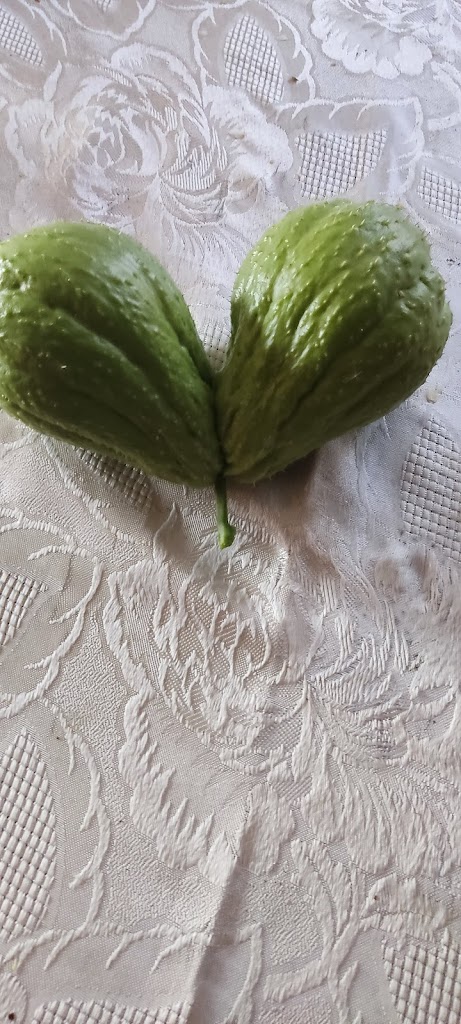 Foto da avaliação