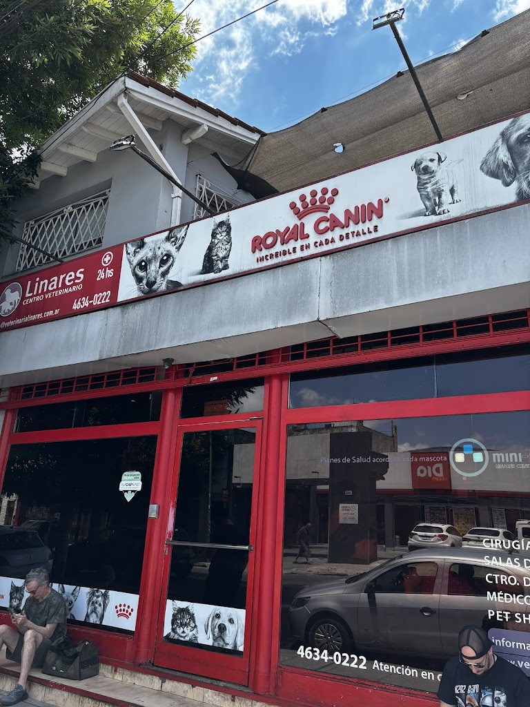 Más recientes