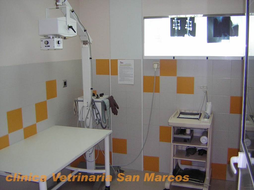 Clinica Veterinaria San Marcos-La Linea de la Concepcion — Del propietario