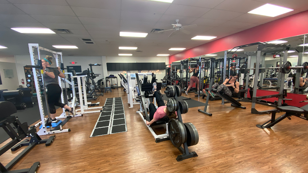  The Bar Belle Fitness Academy