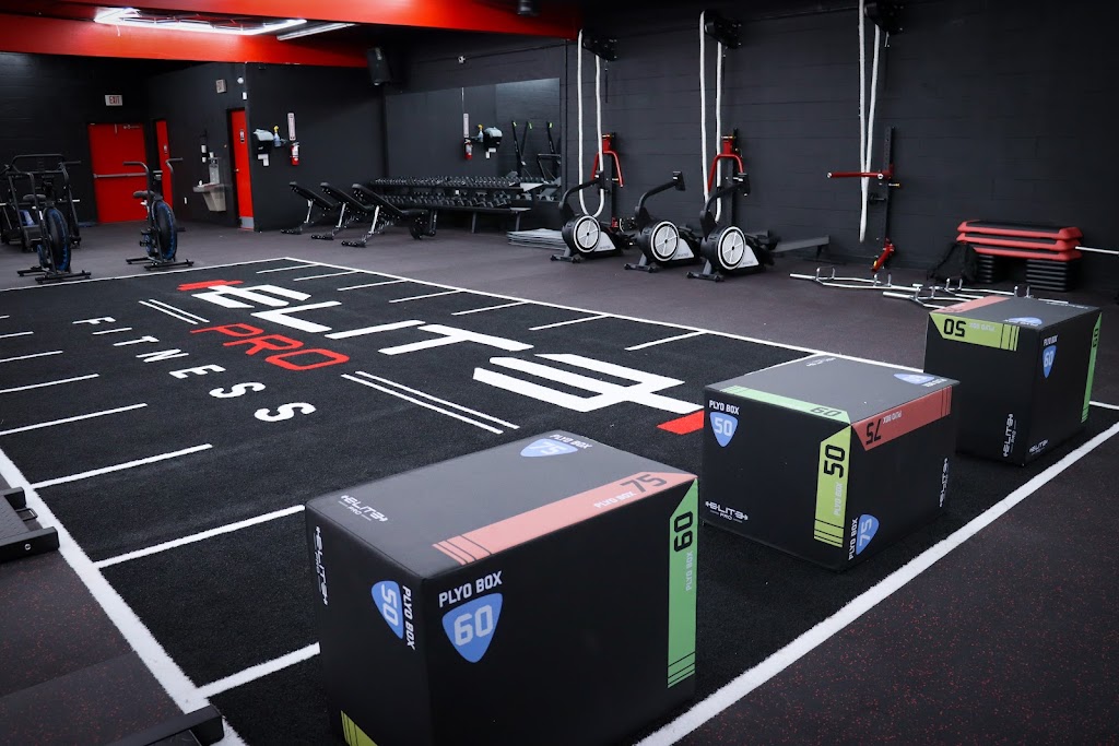  Elite Pro Fitness
