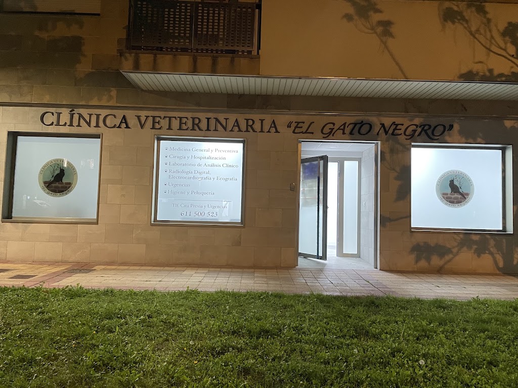 Clinica veterinaria "El Gato Negro" — Del propietario