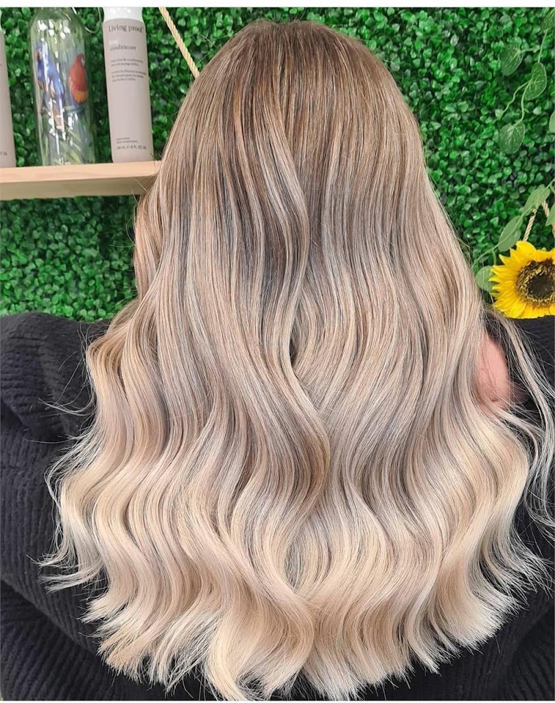 Peluqueria Eva Mendez — Del propietario