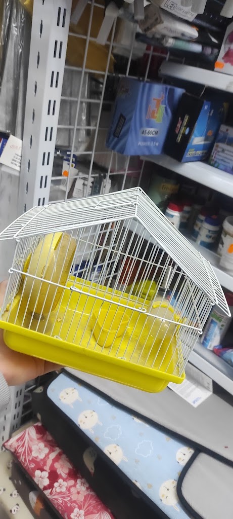 Bazar King Of The House El Rey de la Casa