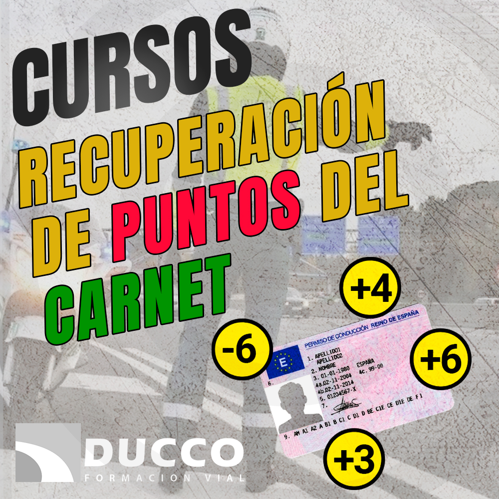 Recuperacion de Puntos - El Puerto de Santa Maria — Del propietario