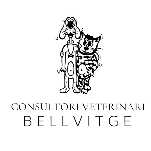 Consultori Veterinari Bellvitge, Anna Badia — Del propietario