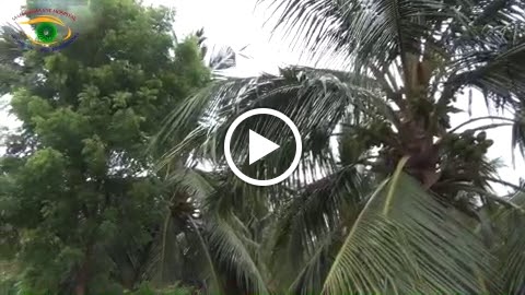Videos