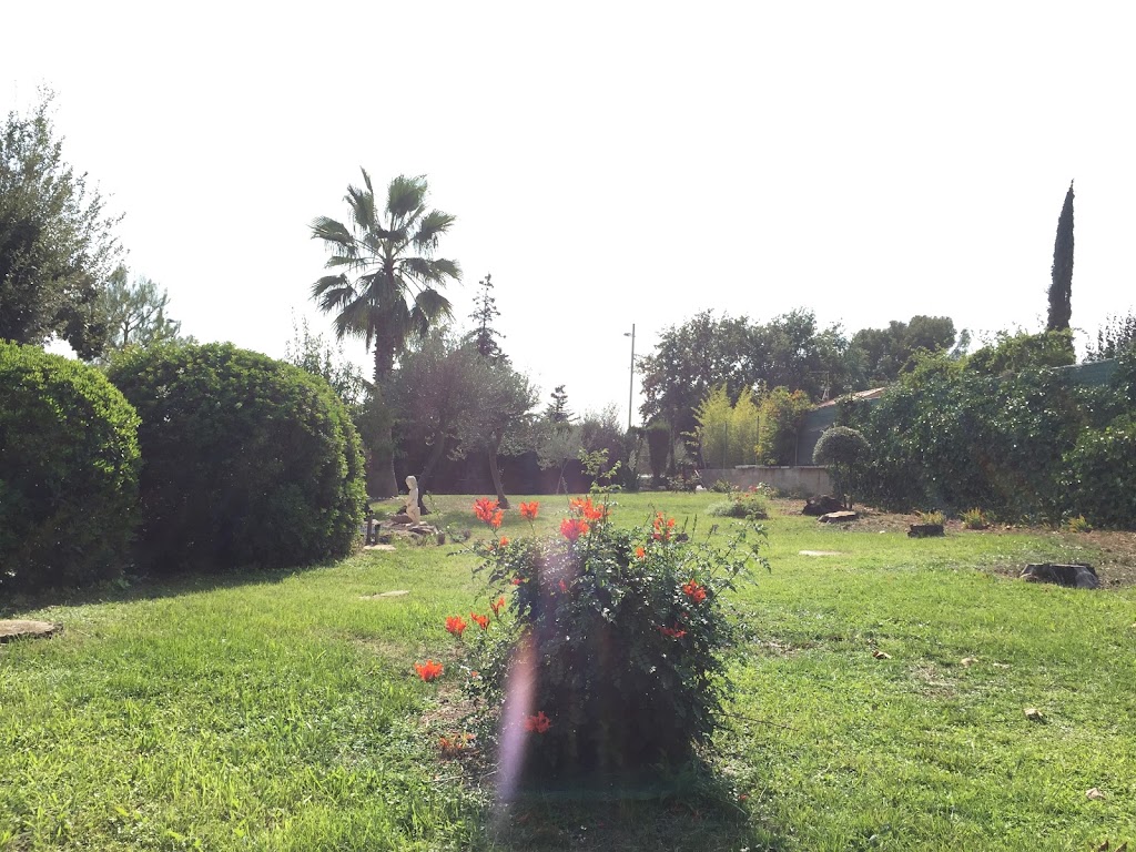 El Pinar Geriatrics Terrassa — Del propietario
