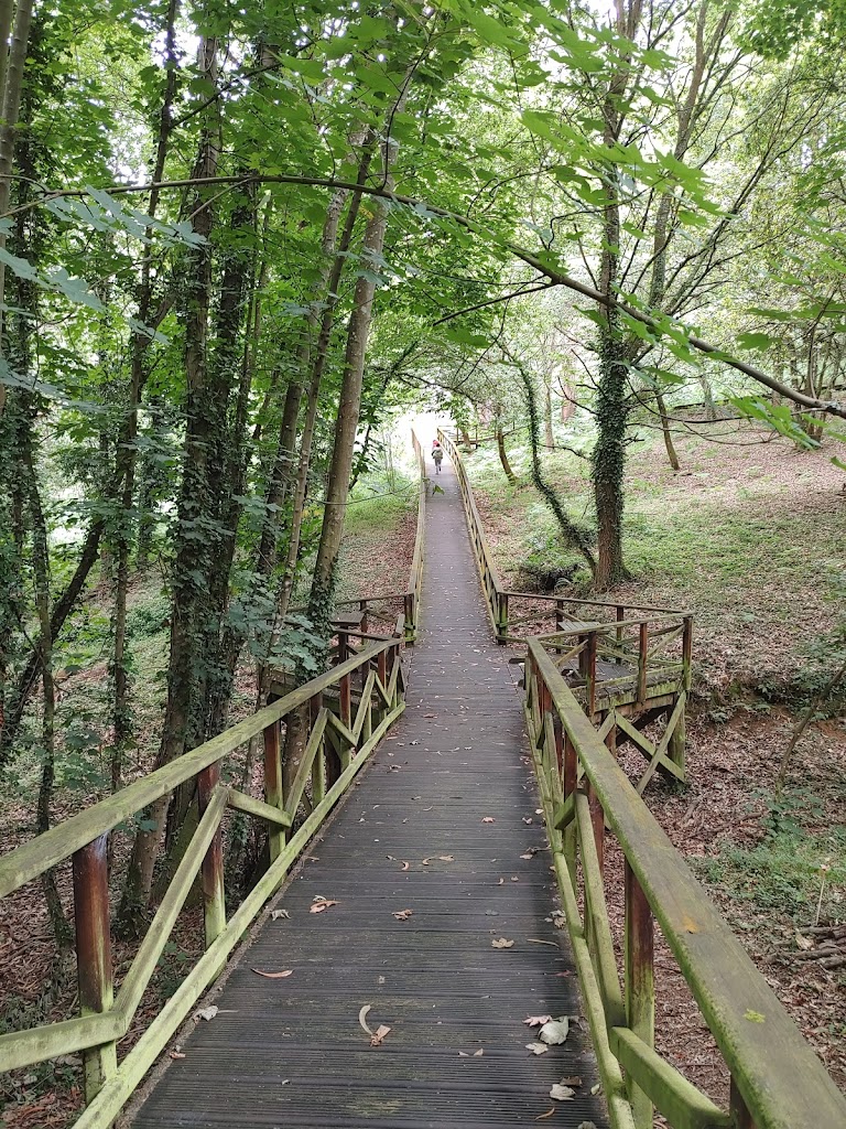 Bosque dos Vecinos