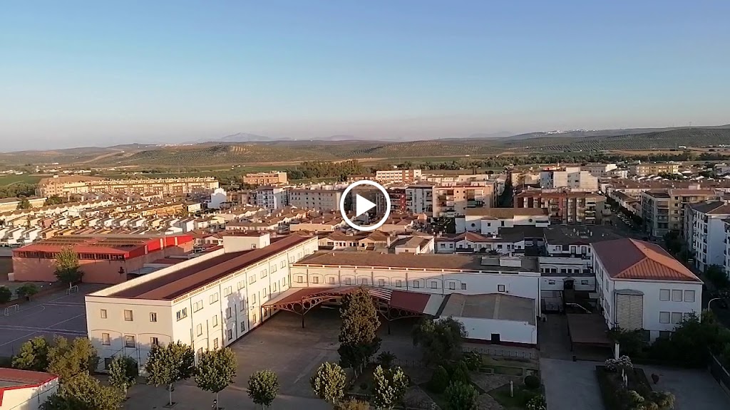 Cafe-Bar EL NUEVO TURIS — Videos