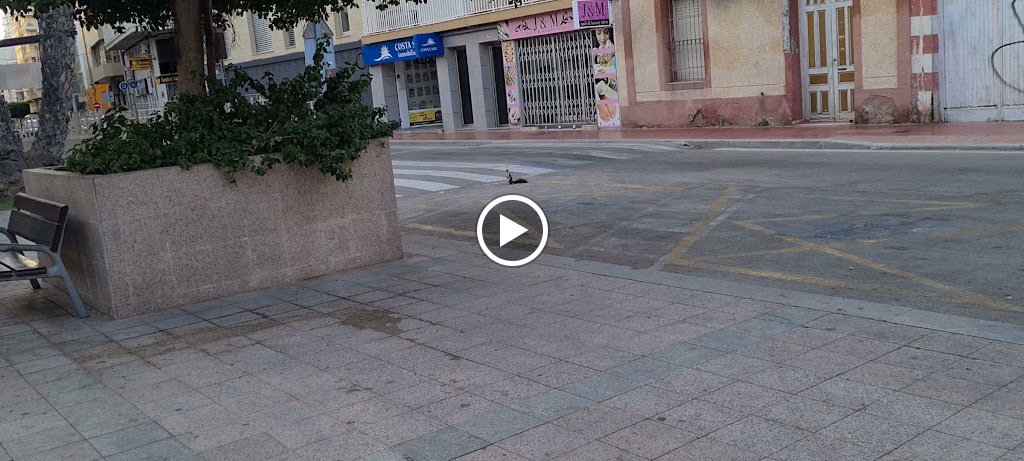 Parking del Castillo | iPark — Videos
