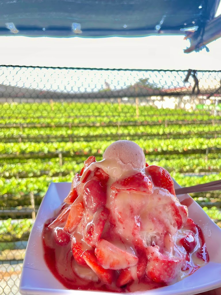 戀戀芒果冰草莓冰 的照片