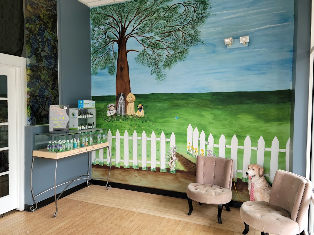 Furry Friends Dog Grooming in Draper