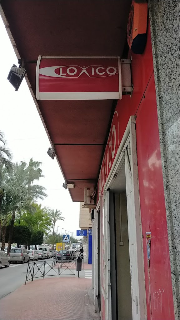 Loxico Informatica