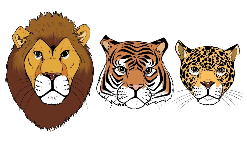 Lion Tiger Jaguar Llc