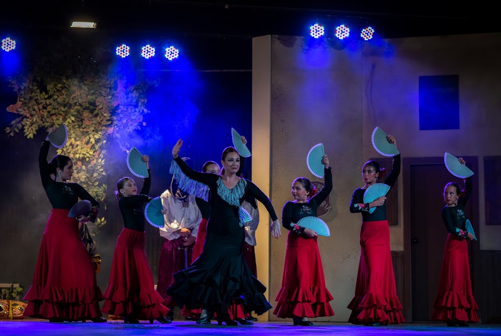 Escuela de Danza Charo Trigueros — Del propietario