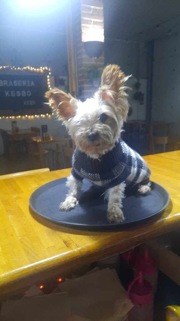 Veterinaria La Pineda