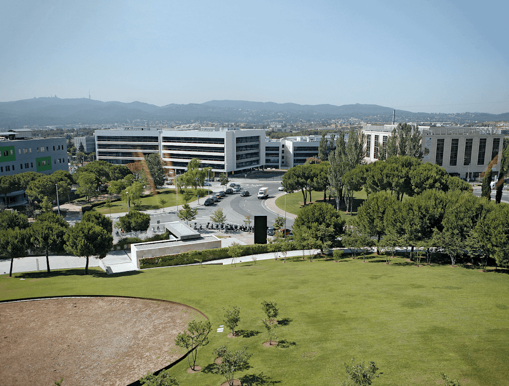 Business Language Academy